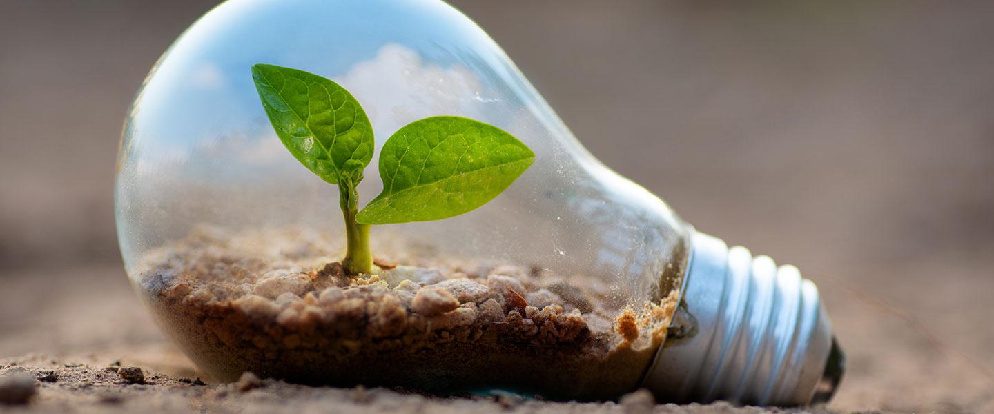 loi climat et resilience