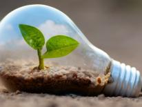 DEVELOPPEMENTDURABLEENVIRONNEMENTAGENDA