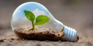 DEVELOPPEMENTDURABLEENVIRONNEMENTAGENDA